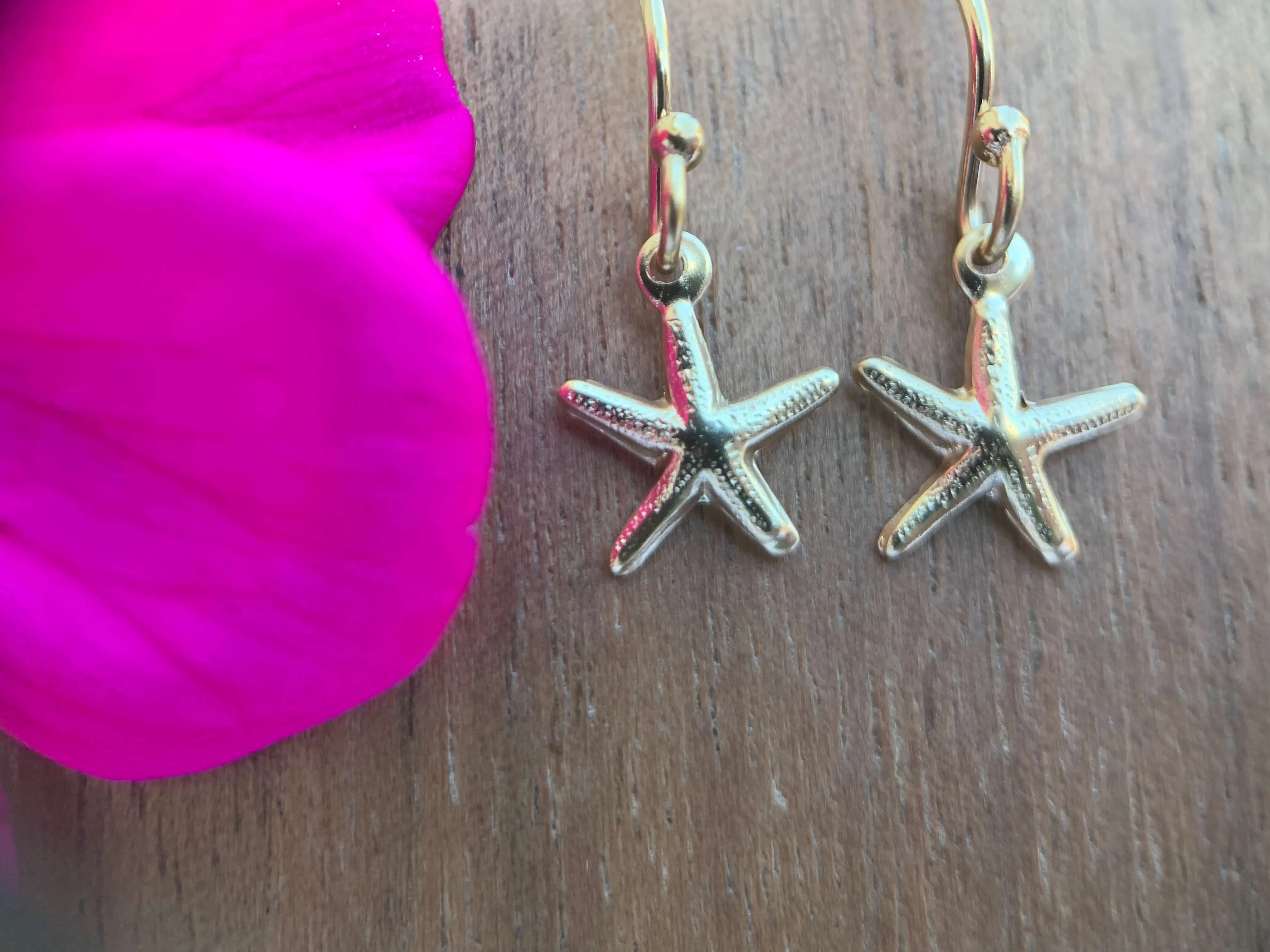 14kt Gold Filled Starfish, Heart or Dolphin Hook Earrings