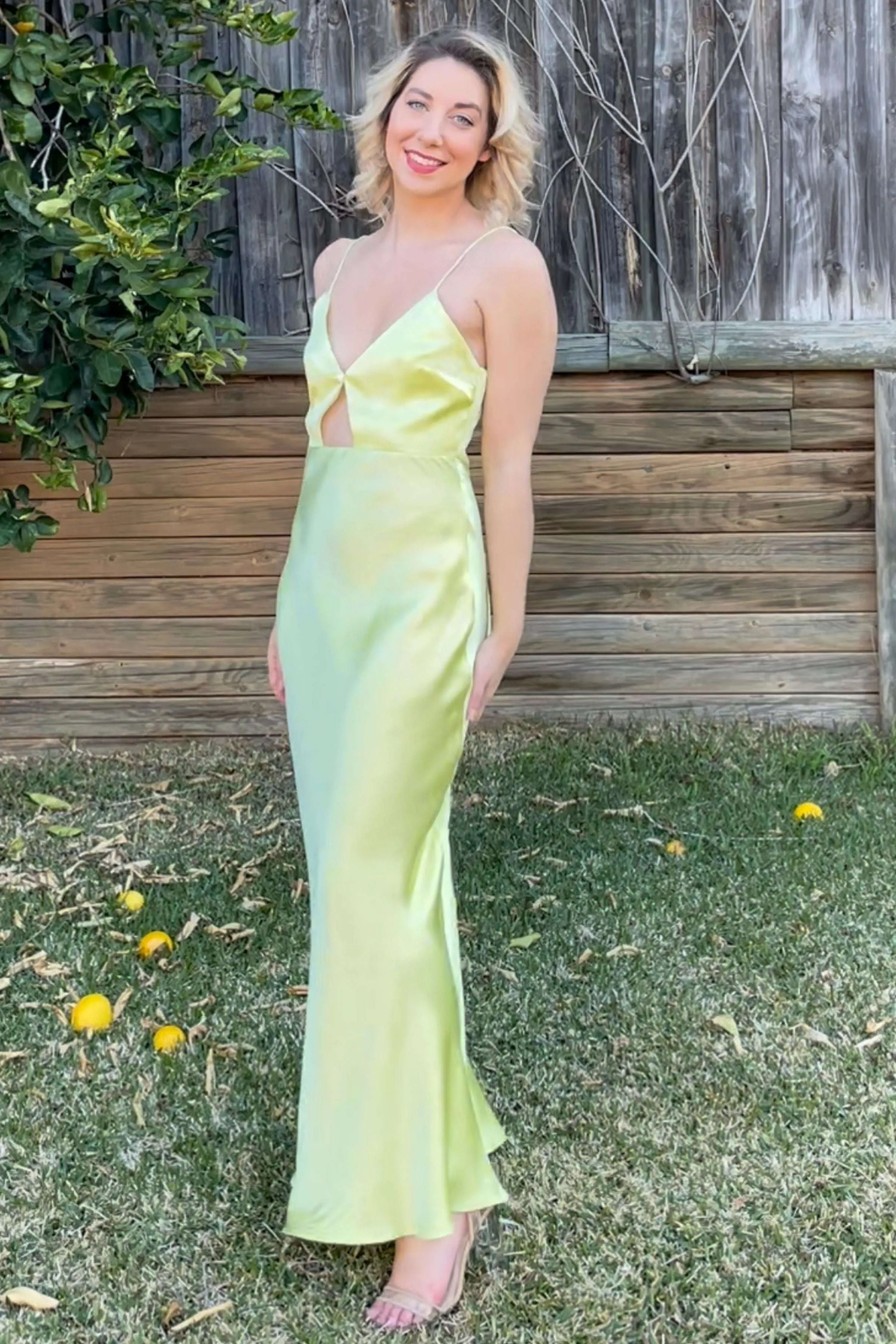 BEC + BRIDGE Citrus Sweetie Maxi Dress - RRP $260