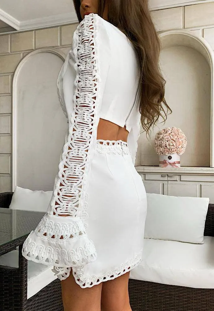 Lace Cut Out Mini Embroidered Dress