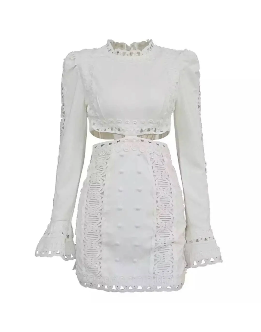 Lace Cut Out Mini Embroidered Dress