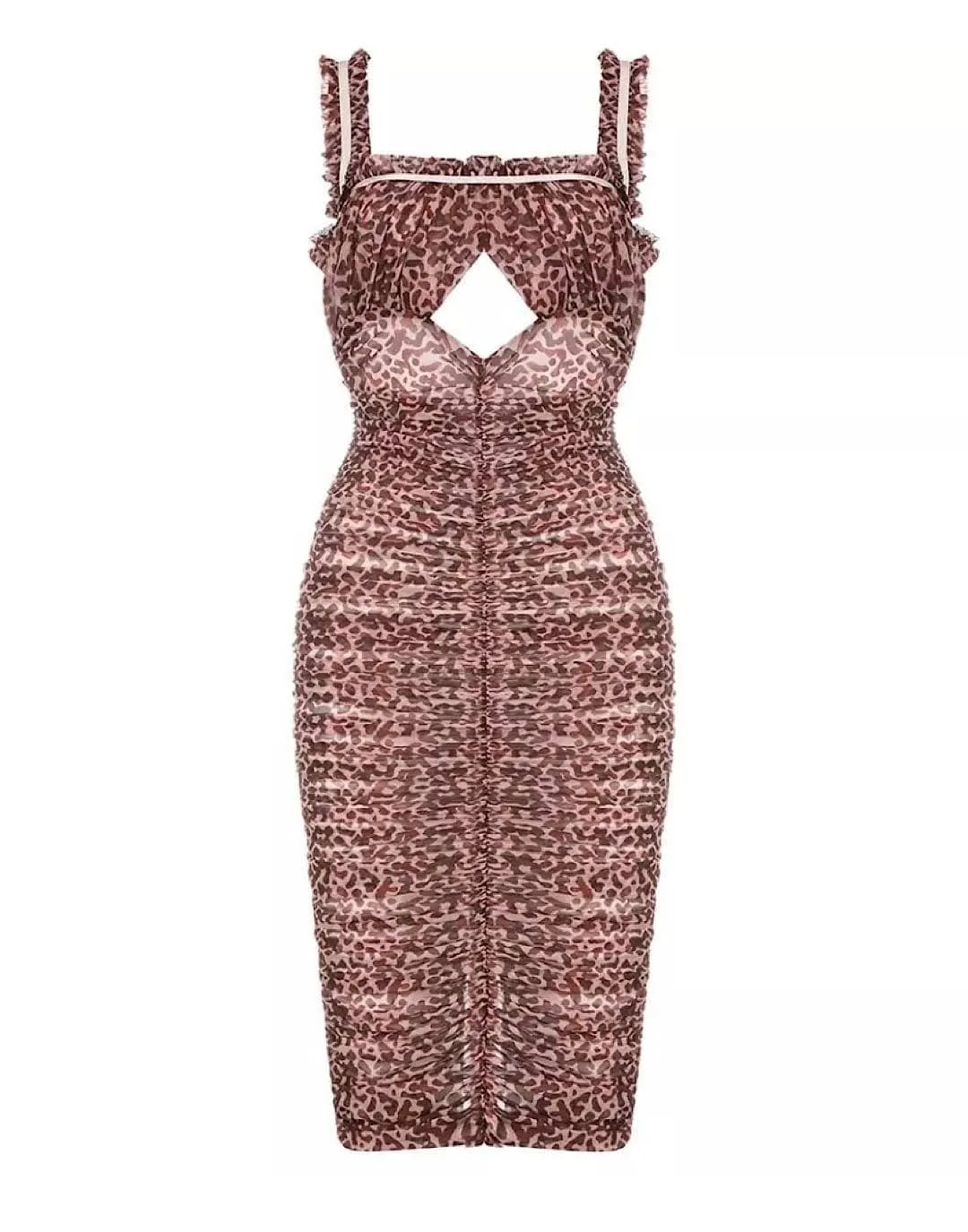 Ruched Bodycon Mesh Dress