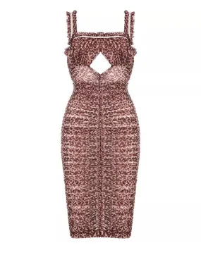 Ruched Bodycon Mesh Dress