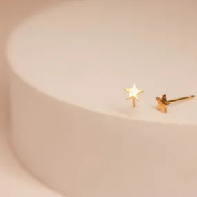 Tiny Star Stud Earrings