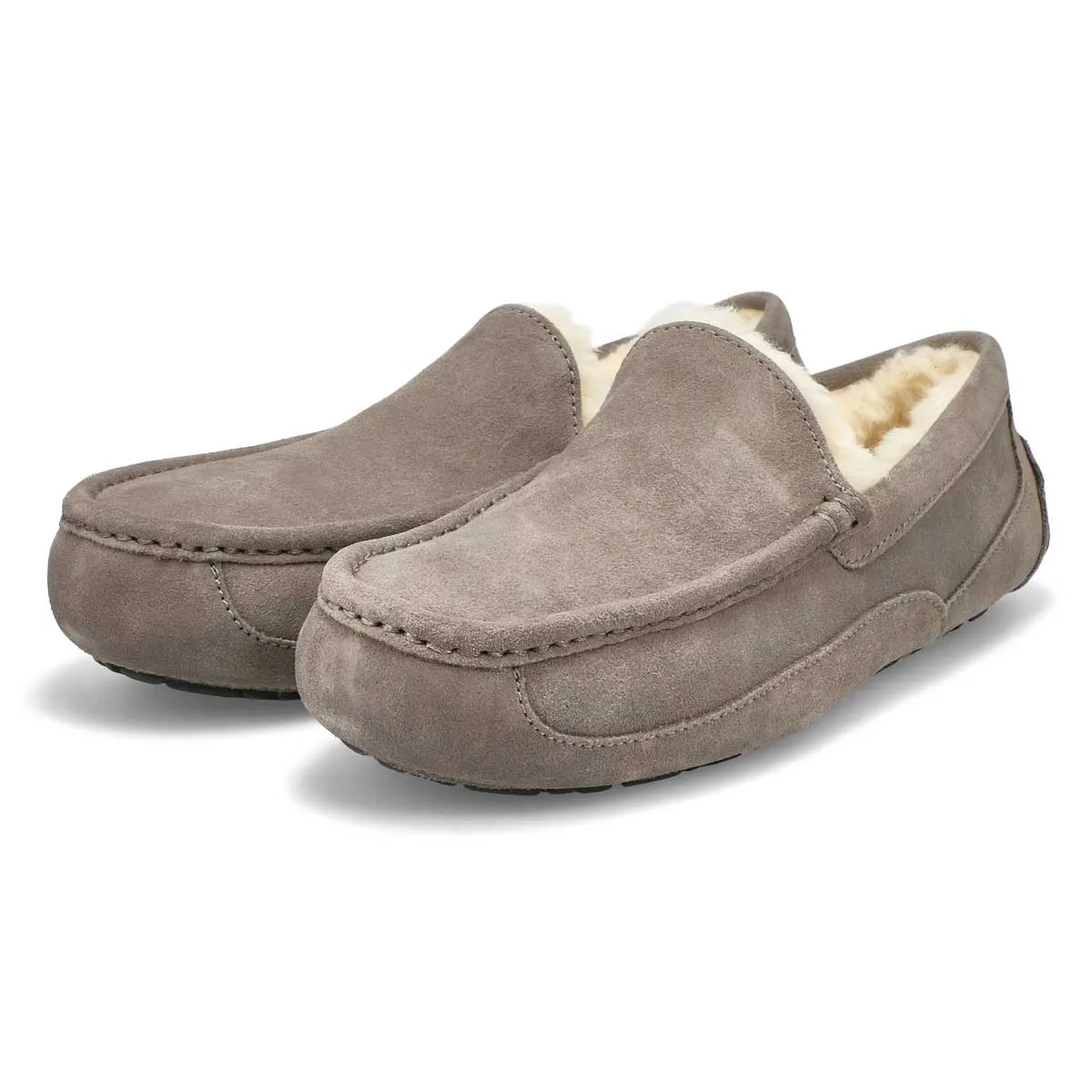 UGG  Ascot Men