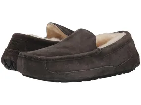 UGG Ascot - WIDE