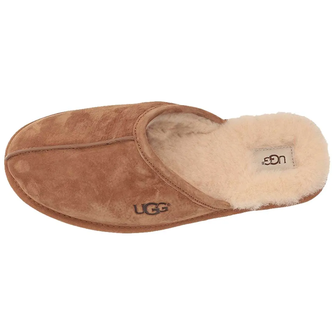 UGG Scuff - Men's