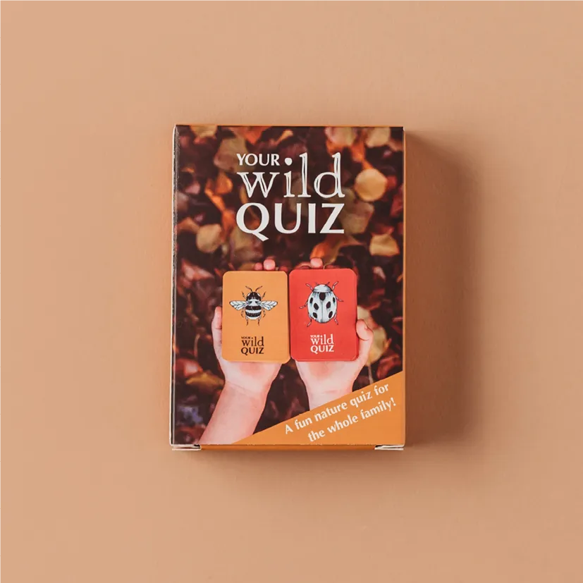 Your Wild Quiz card game